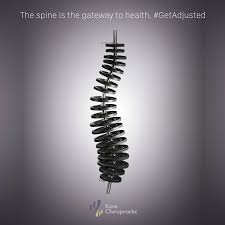 The Spine Is The Gateway To Health Getadjusted Chiropractic Chiropractor Chiropractic Chiropractic Care Chiropractic Wellness