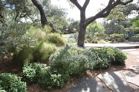 But i love native desert xeriscape because with little water and care the plants can create a lush sonoran oasis. Is Houston Too Wet For Xeriscape Landscaping Not If You Plant Raised Beds