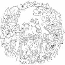 Pin Di Malathi Arasu Su Dieren Kleurplaten Libri Da Colorare Pagine Da Colorare Per Adulti Disegni Da Colorare