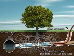 How to clean sewer line clog. Hydro Jetting Clears Tree Roots Sewer Plumbing Vertical Vegetable Gardens