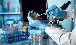 Moleküler biyoloji ve genetik (i̇ngilizce) (ücretli) (i̇lk 3 tercihe %75, 4. Molekuler Biyoloji Ve Genetik 4 Yillik 2021 Taban Puanlari Ve Basari Siralamalari Onedio Com