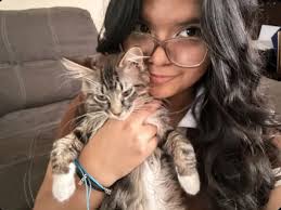 VCA Cherokee Animal Hospital