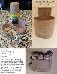 Plans for a barn swallow bird house they would build their nest in/on (barn swallows build a mud style nest). Make An Easy Barn Swallow Nest Cup Out Of Leftover Gardening Supplies Fun Project For The Kiddos Barn Swallow Bird Supplies Swallow Nest