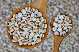 Image result for Coix