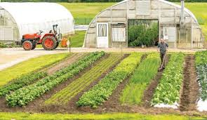 Don T Waste Time Energy And Resources On Inefficient Practices Lean Farming Helps You Do More With Less For A Happi Farm Layout Agritourism Farms Hobby Farms