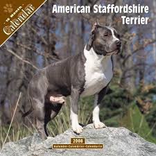 Black And Brown Brindle Pitbull Colors Fawn Brindle Black Blue Brown Sable I Love Dogs American Pitbull Pitbulls