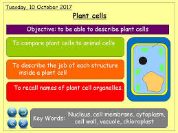 Maybe you would like to learn more about one of these? Ks3 Unit Of Work Cells And Reproduction Teaching Resources