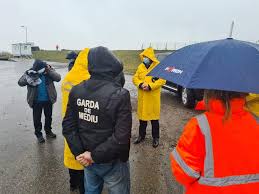 Garda de mediu hunedoara informează asupra faptului că în această perioadă pescuitul de păstrăv este interzis. Amenzi De Peste 220 000 De Lei Aplicate De Garda De Mediu Hunedoara Servuspress