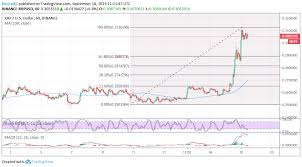 Ripple Xrp Price Analysis How Far Can This Unexpected Xrp