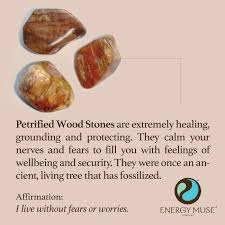Petrified Wood Stone Crystals Healing Stones Energy Crystals