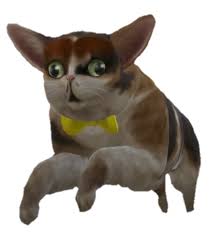 Images tagged spleens the cat. Spleens The Cat Explore Tumblr Posts And Blogs Tumgir
