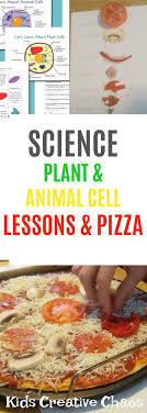 See more ideas about animal cell, cells project, animal cell project. Plant And Animal Cell Lesson With Pizza Project Adventures Of Kids Creative Chaos