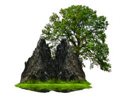 Bricks Png 5 Png Free Png Images Cool Pictures Of Nature Tree Digital Artist