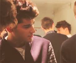 Pit Bulls Much Less Aggressive Than Other Breeds, Study Says