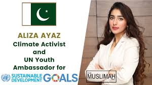 Image result for aliza