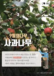 이달의나무🌳] 사과나무 (Malus pumila Mill.) | 서울숲