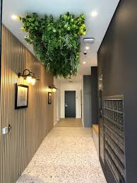 Maybe you would like to learn more about one of these? Vines Google Search
