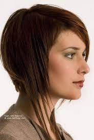 Good Style More Hairstyles In Mobile App For Ios Https Itunes Apple Com Us App Stri Haircuts For Medium Hair Short Straight Bob Hairstyles Short Hair Styles