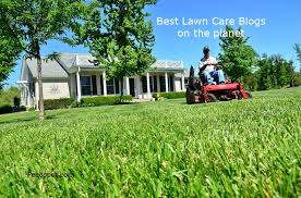 Sign up online and get your first treatment free. Top 70 Lawn Care Blogs And Websites To Follow In 2021