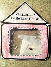 The pdf file will open in a new. Printable Bean House Seed Sprouting Activity Green Kid Crafts