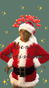 Grinch Christmas Wallpaper Funny Christmas Wallpaper Cute Christmas Wallpaper Christmas Wallpaper Vaporwave, music, blue, style, purple, yellow, sunset, background. grinch christmas wallpaper funny