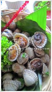Kerang dara rebus | resep #191 untuk resep lengkap lihat dibagian akhir video. Kerang Rebus Qasey Honey