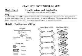 Templates could be helpful once you're trying to lose or maintain your weight that's existing. Structure Of Dna And Replication Worksheet Answers Unit 12 Worksheet List