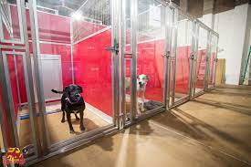 How much does dog euthanasia cost? Dog Boarding The Dog Stop Where Tails Go To Wag