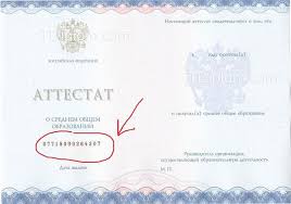 Gde Smotret Seriyu I Nomer Shkolnogo Attestata Novogo Obrazca