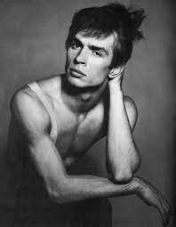 Nureyev was dressed in a shimmering snakeskin jacket and purple, crushed velvet trousers. Rudolph Nureyev My Hero