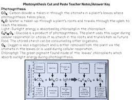 Science Interactive Notebook Respiration And Photosynthesis Tpt