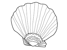 We found a picture of sea shell to color. Free Printable Seashell Coloring Pages For Kids