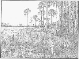 Adults always likes nature with beautiful view and scenes so as they love to color these scenes on their coloring sheets. Adult Nature Coloring Pages Coloring Page For Adults Adult Coloring Pages