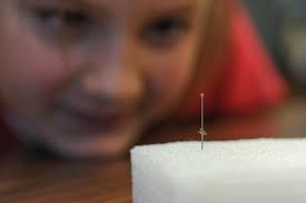 Beetle-mania: Shelley teacher shares passion for insects with third-graders 