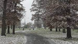 | windsor snowfall totals & accumulation averages. Winter In Windsor Missing In Action Says Environment Canada Cbc News
