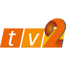Rtm restaurant group, an arby's franchise. Rtm Tv2 Logo Download Logo Icon Png Svg