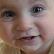 Restaurants with private rooms for presentations and lunch near Oakland Park