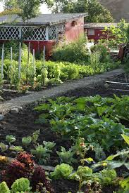 Le Potager Gourmand Botanic Jardin Potager Jardin De Legumes Potager