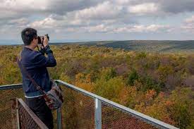 Mount davis is home to the highest natural point in pennsylvania, rising 3,213 ft. Visiting Mount Davis The Tallest Mountain In Pennsylvania Uncovering Pa