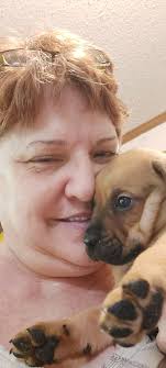 Sewing skills and project advice for beginners and experienced sewers