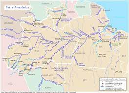 O rio amazonas está presente nos países do peru, colômbia e brasil, em sua bacia hidrográfica estão. Javary River Wikipedia