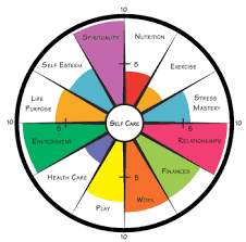 Circle Of Life Looking At Your Whole Self Whole Life To Identifying Areas To Address Set Coaching Tools Wellness Coach Certification Life Coaching Tools
