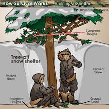 Get my favorite fire starter. Tree Pit Shelter Bigpig Blog