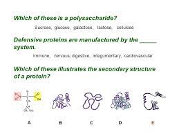 What Are Organic Molecules Ppt Video Online Download