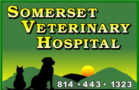 When your beloved companion animal dies, it's natural to feel grief and sadness, even depression. Somerset Veterinary Hospital Veterinarian In Somerset Pa Us Cremation Services