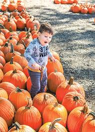 Image result for Great Lakes Light Cream 1956 Wayne Works