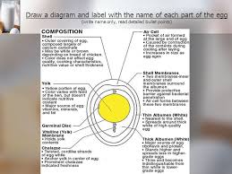 Such as png, jpg, animated gifs, pic art, symbol, blackandwhite, picture, etc. Eggs Your Notes Should Focus On Underlined Information Ppt Download