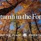 Point Arena Memorial Forest | Autumn in the Forest