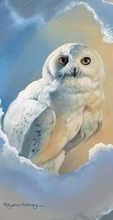 Bird That Sounds Like An Owl Uk Snowy Owl Greeting Card Owl Magic By Pollyanna Pickering Amazon Co Uk Kitchen Home Owl Magic Owl Owl Pictures