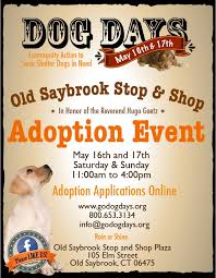 Cat adoptions are currently by appointment only. Dog Days Adoption Events Dog Days